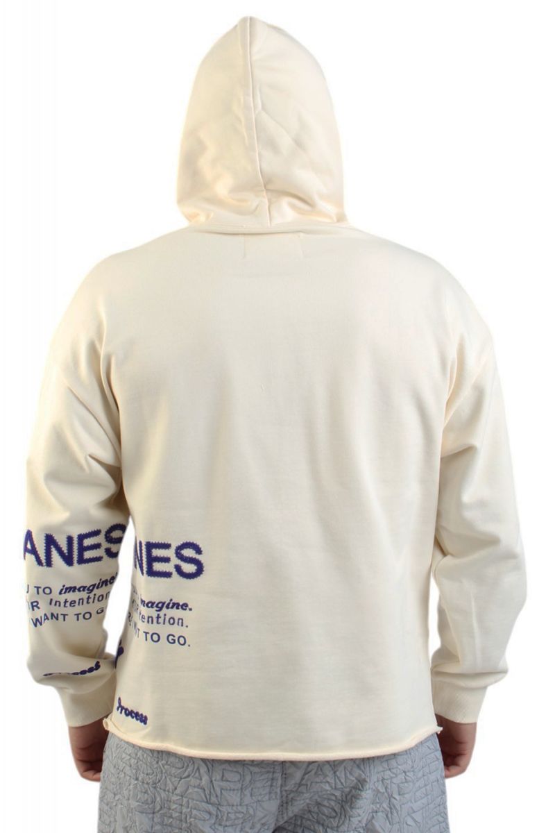 Paper Planes Advance Pullover Hoodie