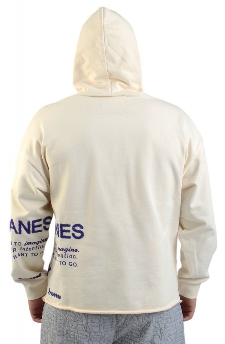 Paper Planes Hoodies Paper Planes Advance Pullover Hoodie Paper Planes Advance Pullover Hoodie