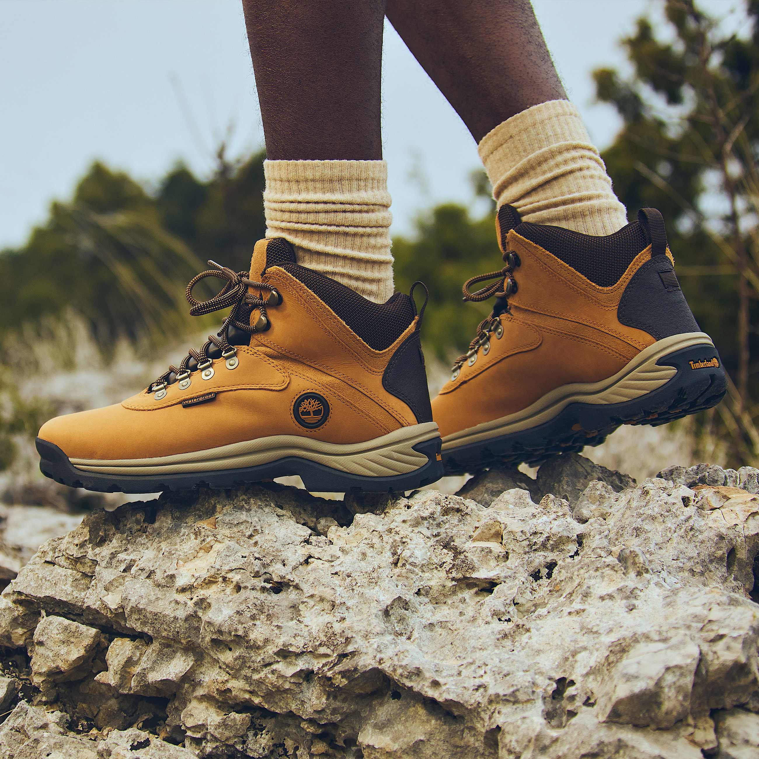 Men's White Ledge Waterproof Hiking Boot 