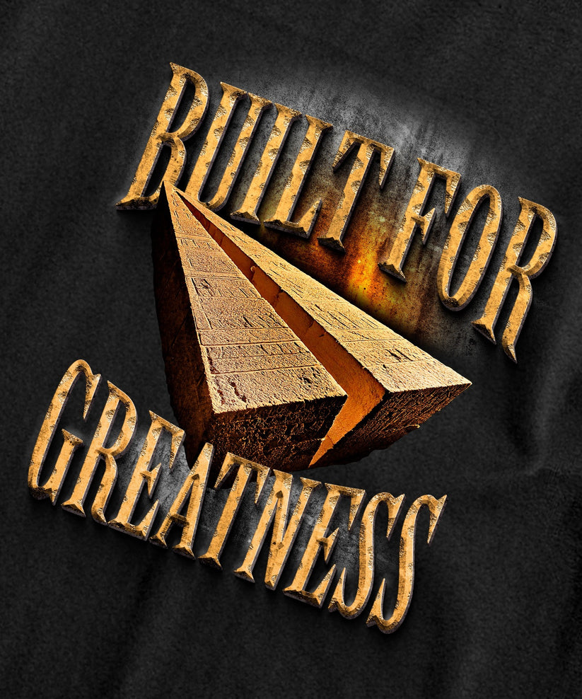 Paper Planes Built for Greatness Tee 